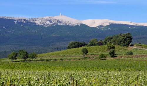 Chateauneuf du pape - bastide des princes - Ventoux