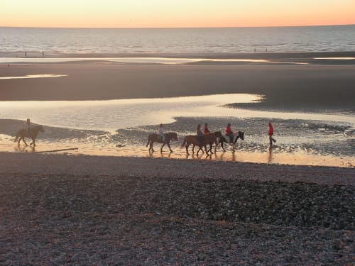 Promenade équestre au coucher du soleil Henson Marquenterre gîtes Saiunt-Valéry Le Crotoy
