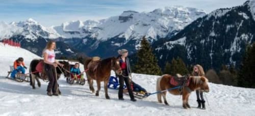 Des enfants s'amusent à faire de la luge avec des chevaux dans les montagnes enneigées des Alpes au château d'Hermonville, France