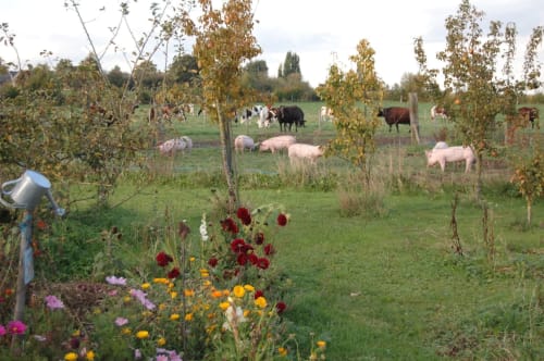 Les animaux de la Ferme du tertre 