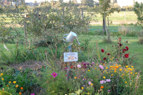 Jardin fleuri - Villers au tertre 