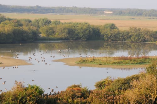 Réserve ornithologique Baie de somme gîtes les granges de la baie