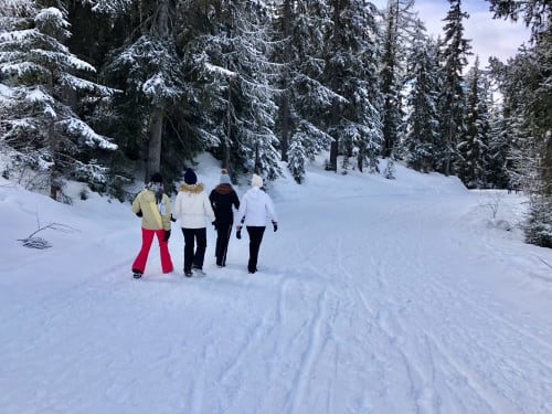 Four people jogging on snowy trail surrounded by snow-covered pine forest near Bourg-Saint-Maurice