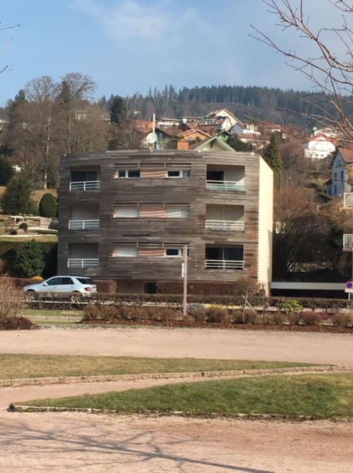 location vue sur lac de gerardmer