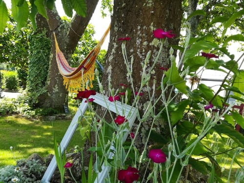 le jardin -  repos-  détente -Ty Coz Breizh chambre d'hôtes à Guidel proche de Lorient dans le morbihan
