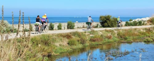 Balade à vélo sur l'île de Ré