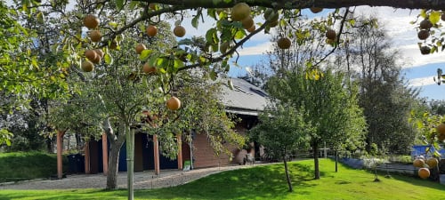 La Clozette hinter einem Birnbaum im Obstgarten, ideal für einen Herbsturlaub in der Normandie
