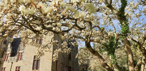 Le Brossay Fleurs du château Bretagne