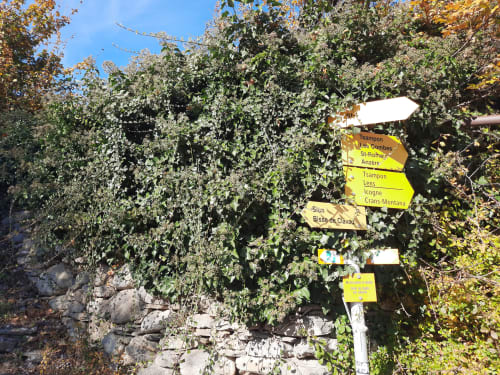 Vignoble Petit Pré Valais bisse de Clavau Randonnées