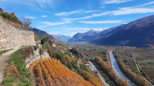 Vignoble Petit Pré Valais bisse de Clavau