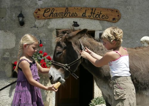Petites filles avec un âne 
