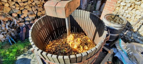 Les pommes dans le pressoir au Clos Delamare