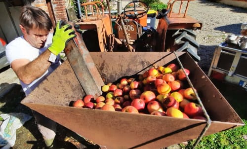 On broie les pommes pour le jus de pommes à la Clozette et à la Moussette