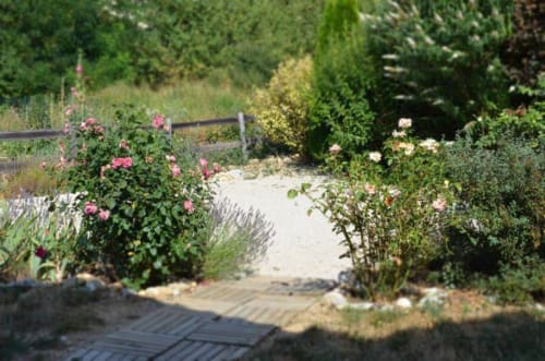 allée du Romulus - Provence