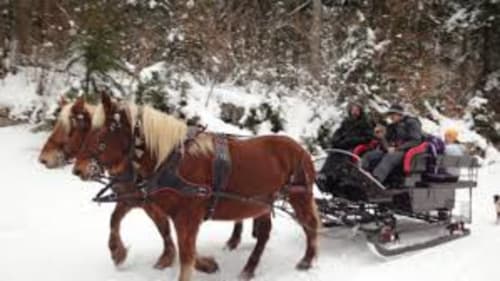 Les Attelages du Grandvaux