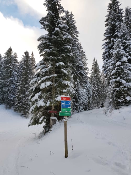 Départ des pistes à Nanchez