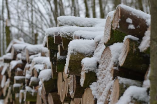 Bûches recouvertes de neige empilées dans la forêt hivernale de La Tour Blanche, Forest-Montiers