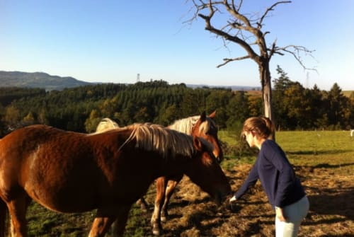 Équitation proche de saint-Étienne 