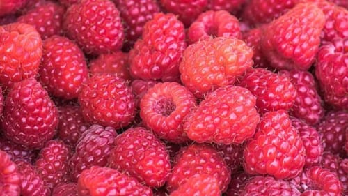 Perles Rouges du Velay 