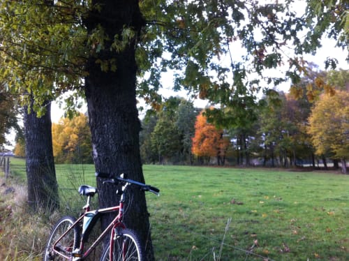 Randonnée en VTT