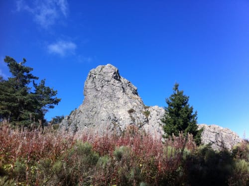 Paysage Saint Etienne