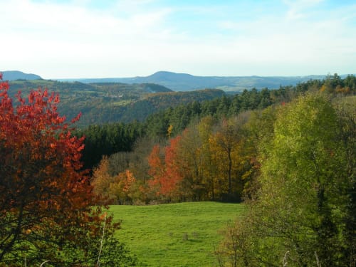 Landscape with trees in autumn