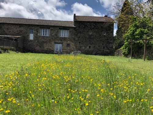 Large garden 
