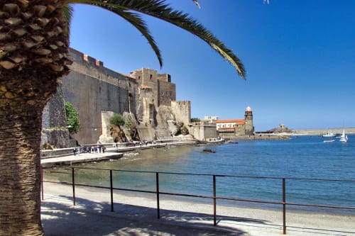 Forteresse médiévale dominant les eaux turquoise de la Méditerranée à Banyuls-sur-Mer, avec palmiers et côte