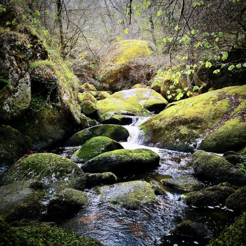 Vos vraies vacances commencent aux Gîtes du Bulz! - Gîtes du Bulz, 3 maisons de vacances proche de Huelgoat