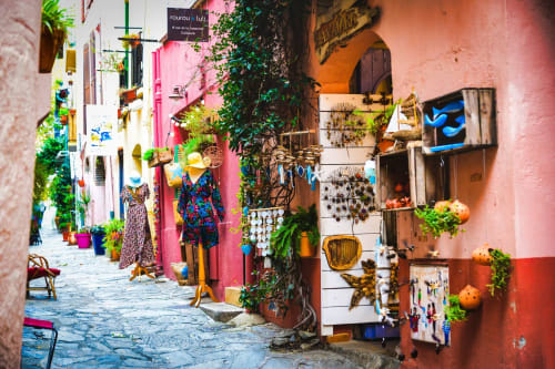 Ruelle colorée de la Méditerranée à Banyuls-sur-Mer avec bâtiments roses, vignes grimpantes et petites boutiques