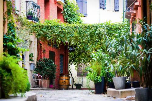 Charmante cour du gîte Banyuls avec murs couverts de lierre, plantes en pot et architecture méditerranéenne rustique