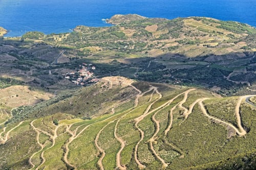 Vue aérienne des vignobles de Banyuls-sur-Mer et de la côte méditerranéenne avec routes sinueuses traversant le paysage agricole en terrasses