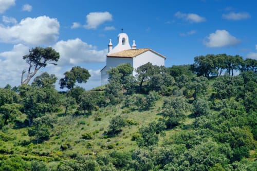 Chapelle blanche sur une colline entourée de végétation verte à Banyuls-sur-Mer