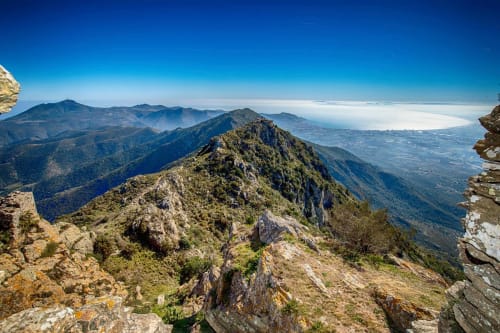 Crête rocheuse des Pyrénées avec pics forestiers dominant la vallée de Banyuls-sur-Mer et la côte méditerranéenne