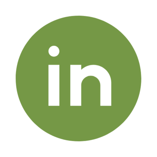 icon LinkedIn