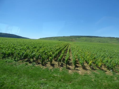 route des vins - bourgogne