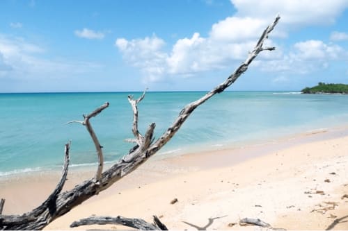 Vacances paradisiaques en Guadeloupe 