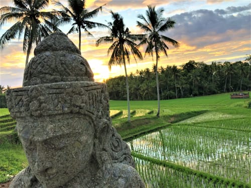 coco verde bali location bungalow
