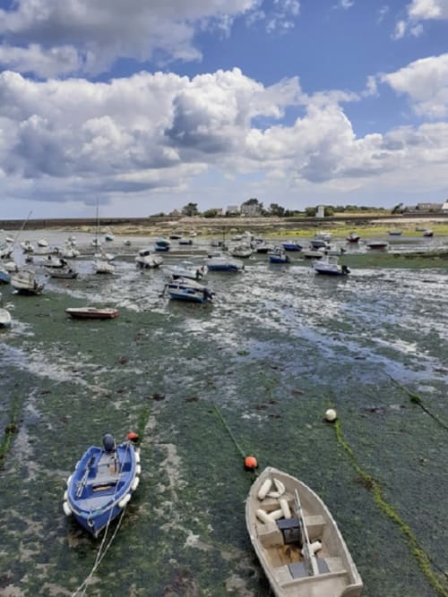 Le port de Barfleur en Normandie à marée basse