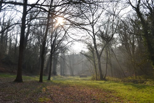 randonnée-treize-vents-campagne-vendee-puy-du-fou-benetiere