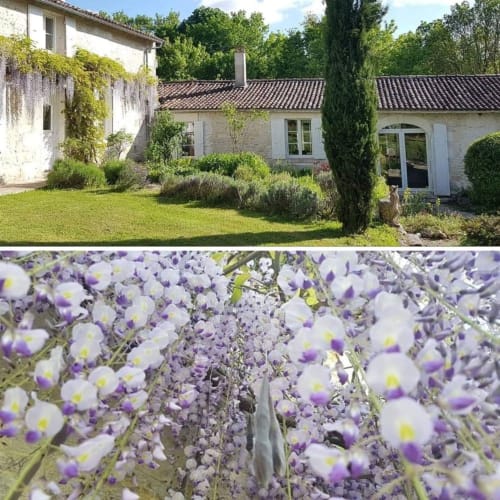 Welcome to La Loge du Grand Cèdre, charming gîte and bed and breakfast in Charente-Maritime