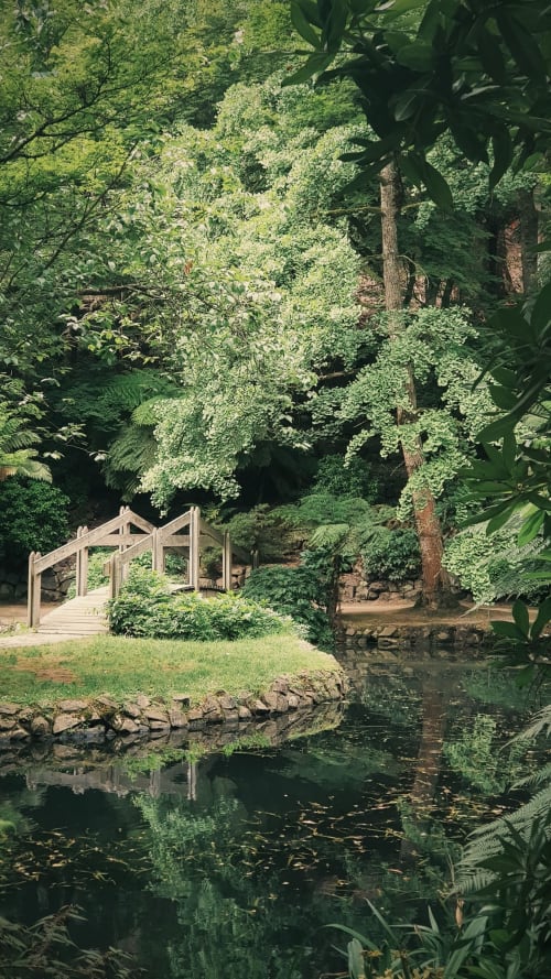 fleurs et découverte jardin de la Loire château d'anjou