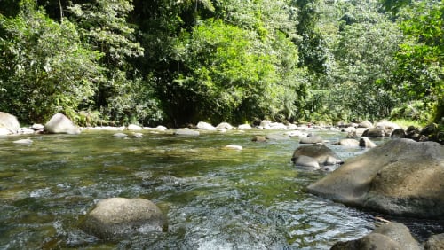 La cascade aux écrevisses en Guadeloupe 