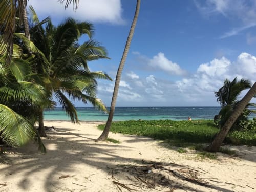 beach - martinique - ecolodge - sea - swimming pool - guest room