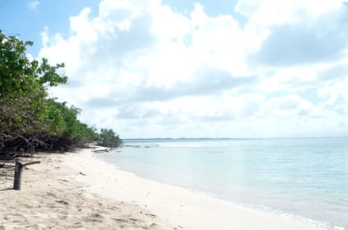 Magnifique plage en Guadeloupe