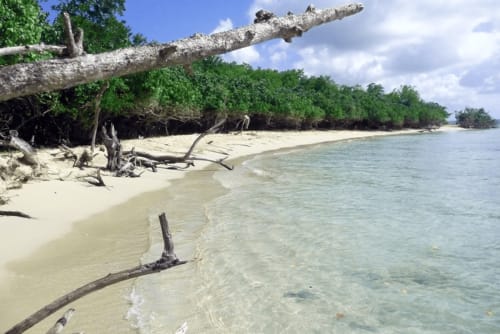 Plage proche de Basse terre - Guadeloupe