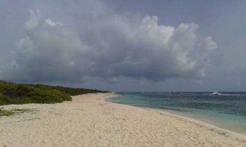 Plage de sable blanc - Guadeloupe 