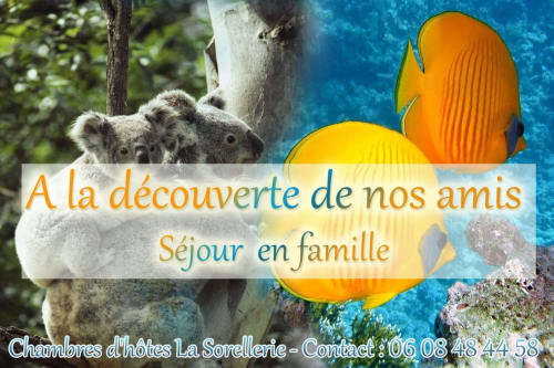 Activité en famille chateau de la Loire