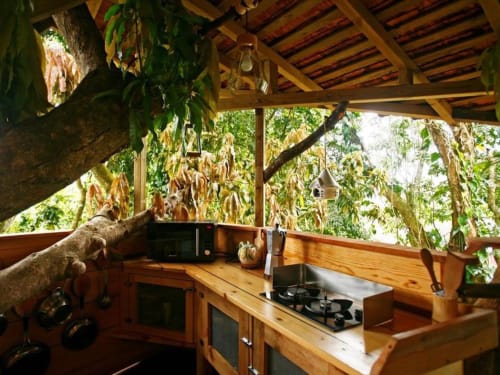 cuisine dans les arbres - Bananes Vertes