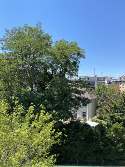 residence in strasbourg - parc de l'Orangerie

